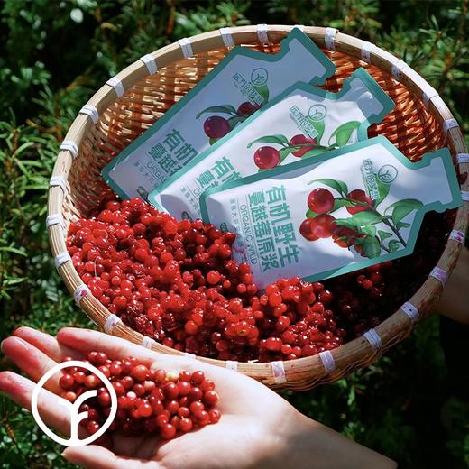 （50ml*10袋）远方的梦想有机野生蔓越莓原浆 商品图3
