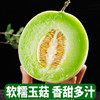【冰淇淋甜瓜，清甜如蜜~】冰淇淋玉菇甜瓜 新鲜香瓜蜜瓜 当季水果 汁水充沛 清甜多汁 瓜香怡人-QQ 商品缩略图2