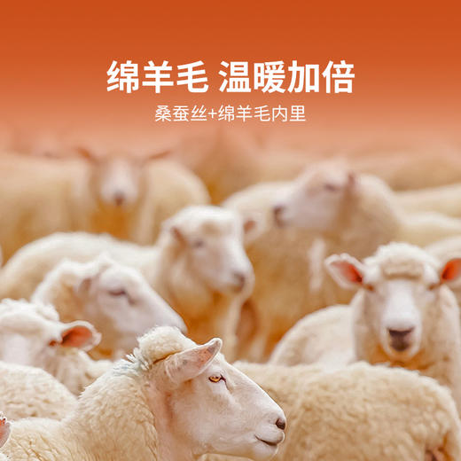 【秋冬新品】洁丽雅男士护膝保暖长裤三重保暖舒适亲肤高弹力打底裤 商品图1