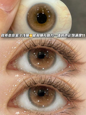 Honey cake蜂蜜芝士琥珀棕·日抛十片装