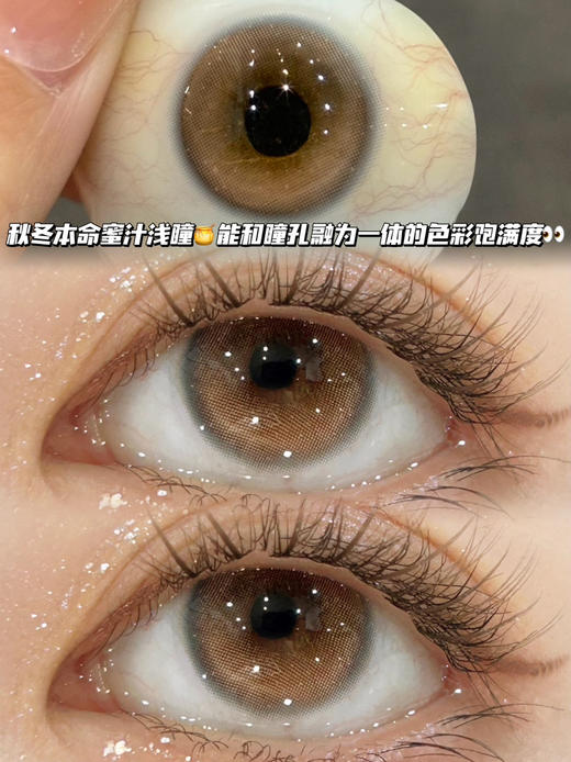 Honey cake蜂蜜芝士琥珀棕·日抛十片装 商品图0