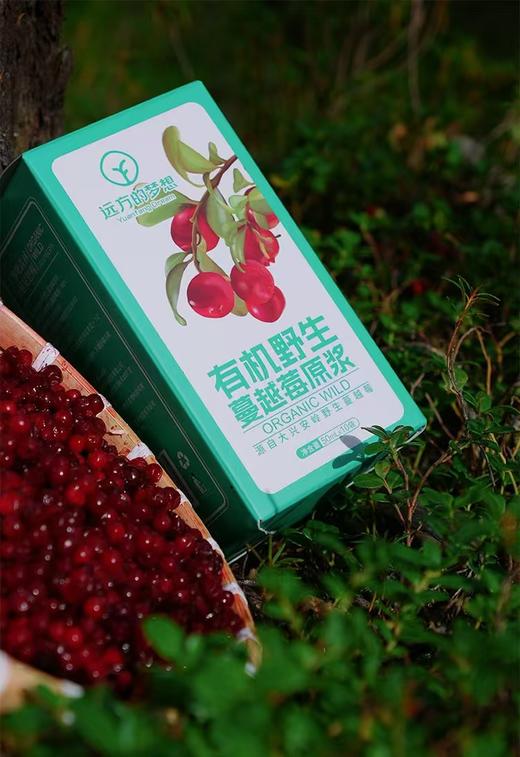 （50ml*10袋）远方的梦想有机野生蔓越莓原浆 商品图2