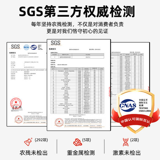 京东快递【现挖现发】焦作温县垆土铁棍山药 2025新鲜头茬原产地直发 赠削皮刀/一次性手套 商品图4