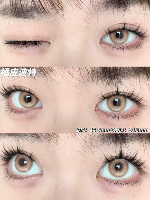 【大直径】DUKCHIRO-橘皮波特-14.5mm【年抛 0-800度 无525/575】 商品图6