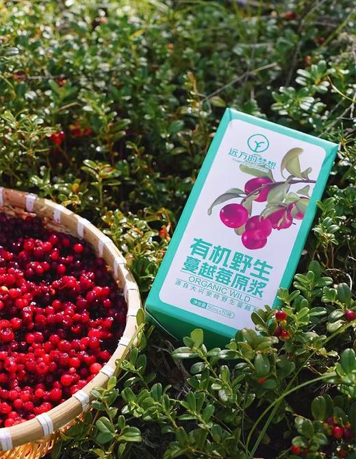 （50ml*10袋）远方的梦想有机野生蔓越莓原浆 商品图6