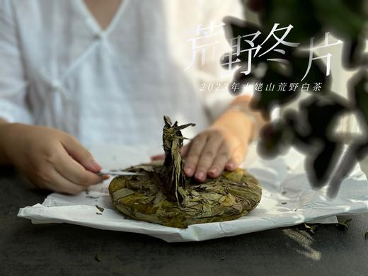 【珍藏级茶饼】2023荒野冬片饼，诞生在隆冬季节的冰沁汤水与深长竹叶香，每一饼，都藏着最深的冬（1饼收藏装） 商品图5
