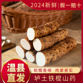 京东快递【现挖现发】焦作温县垆土铁棍山药 2025新鲜头茬原产地直发 赠削皮刀/一次性手套