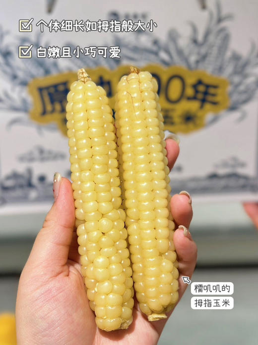 拇指小玉米，来自美丽的西双版纳，很糯很香。非转基因！独立真空包装 商品图6
