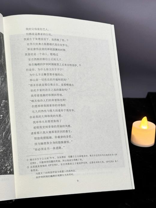 《神曲》“地狱之门”典藏装帧，三面古典印花刷边 | 公认经典诗体译本，1409条海量注释，原汁原味、阅读零障碍 商品图13