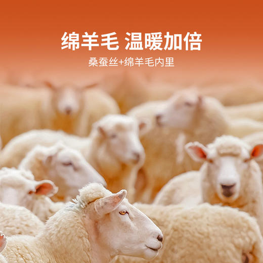 【秋冬新品】洁丽雅男士蚕丝羊毛保暖内衣舒适亲肤加绒加厚套装男 商品图2