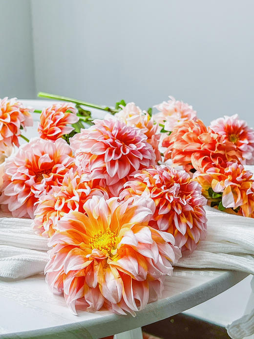 【掉价啦】5支/扎共2扎10支【奶油桃子大丽花】 长约50-60cm 商品图11
