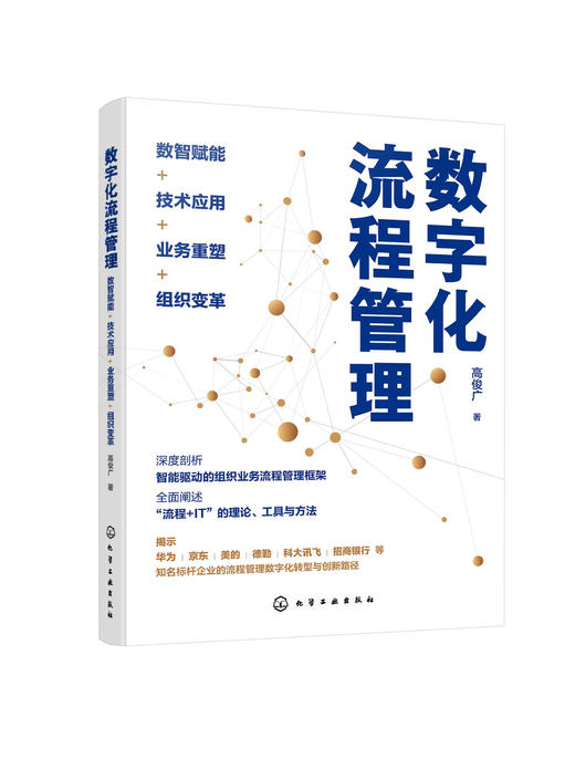 数字化流程管理：数智赋能+技术应用+业务重塑+组织变革 商品图0