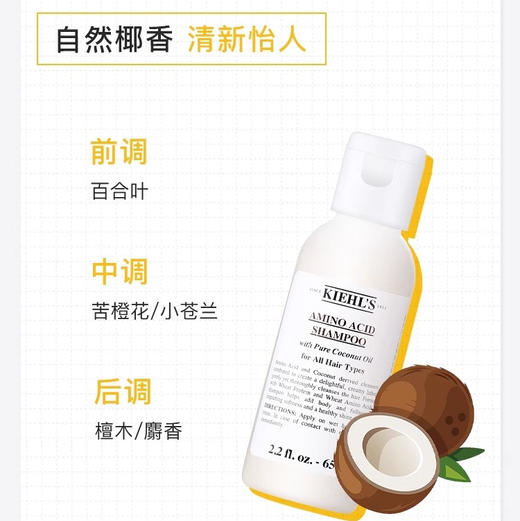 【专柜小样】美国 Kiehl's科颜氏 氨基酸椰香洗发水 / 护发素 65ml *2 商品图4