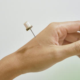 肠道菌群与情绪管理