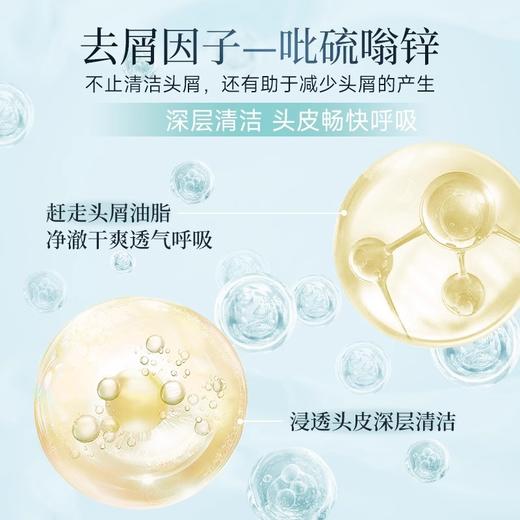 卡洛西氨基酸止痒去屑洗发水  750g/瓶 商品图2