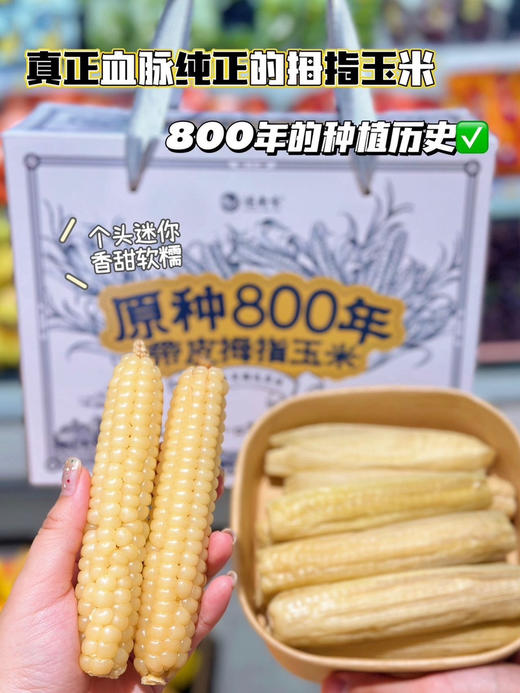 拇指小玉米，来自美丽的西双版纳，很糯很香。非转基因！独立真空包装 商品图7