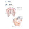 成人心脏外科名家手术手绘图解 汉英对照 胸骨正中切口 体外循环插管外科学主编刘中民 翁渝国 李颖则9787117362641人民卫生出版社 商品缩略图3