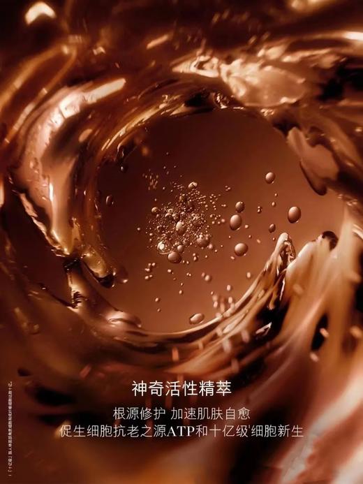 B101515面霜中的天花板！睡美人黑科技奇迹晚霜男女同享！ 商品图11