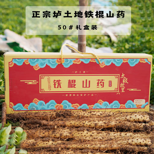 【优农食客】温县垆土新鲜铁棍山药 | 香甜面糯 肉质紧密2500g/箱 商品图5