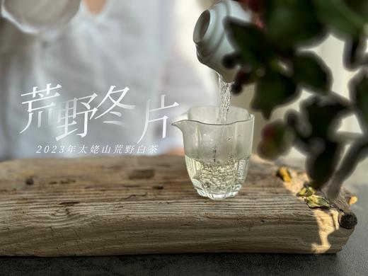 【珍藏级茶饼】2023荒野冬片饼，诞生在隆冬季节的冰沁汤水与深长竹叶香，每一饼，都藏着最深的冬（1饼收藏装） 商品图11
