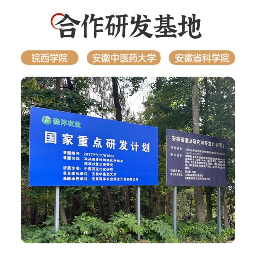 【清心湖】九蒸九制黄精果脯  小零食开袋即食  选用大别山多花黄精 肉质饱满 清甜软糯    直接嚼着吃 边吃边养 商品图1