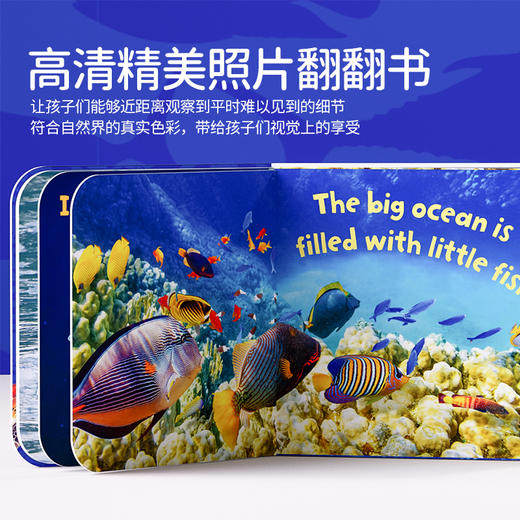 【盖世童书】大美照片书合辑（3本）/单本【规格可选】蓝思值200-400L，有音频 商品图2