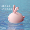 KISTOY 秒爱浪潮吸吸跳蛋 口爱又吸震动按摩器 女用自慰器成人情趣性用品 kk兔 悸动粉 兔森破萌潮跳蛋【口吸+震动+可爱造型】-粉 商品缩略图2