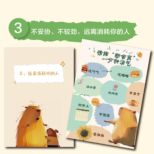 【积分】卡皮巴拉的自我修养 商品图3