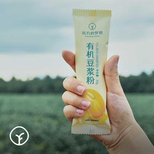远方的梦想有机豆浆粉210g 商品图2