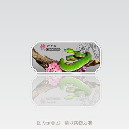 2025蛇年生肖彩色异形银条 商品图2