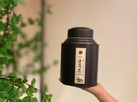 【2024白露茶】清新沁凉，带着清鲜之山野气韵的甜花香，空灵、甜美（60克） 商品图1
