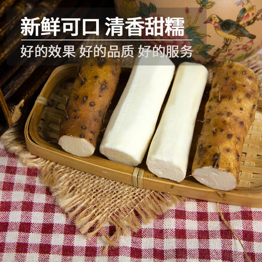 【优农食客】温县垆土新鲜铁棍山药 | 香甜面糯 肉质紧密2500g/箱 商品图2