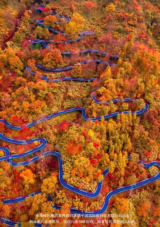 【九寨红叶季】四川双飞6日游 商品图2