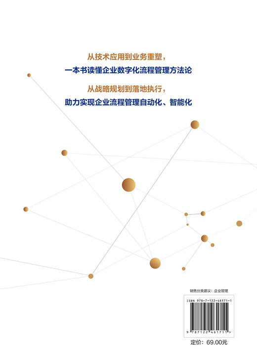 数字化流程管理：数智赋能+技术应用+业务重塑+组织变革 商品图1