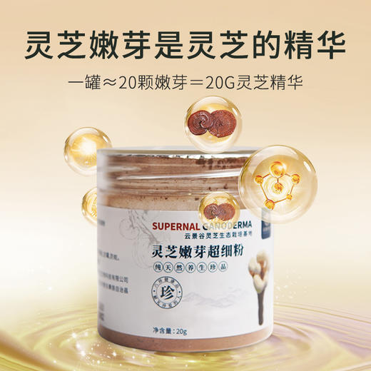 云景天芝灵芝嫩芽超细粉20g 商品图1