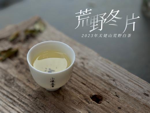 【珍藏级茶饼】2023荒野冬片饼，诞生在隆冬季节的冰沁汤水与深长竹叶香，每一饼，都藏着最深的冬（1饼收藏装） 商品图14