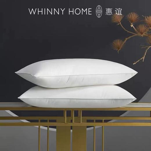 【罗卡芙】B7F 惠谊安芯舒睡枕 商品图0