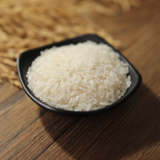 【新米上市】谦益农业  东北火山岩石板生态大米 500g/2.5kg 商品图1