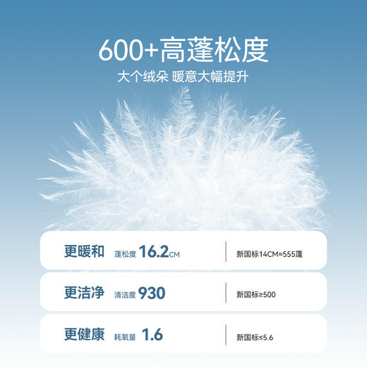 【御寒-5~5℃】男女童长款羽绒服冬季新款安奈儿童装EM445629 商品图2