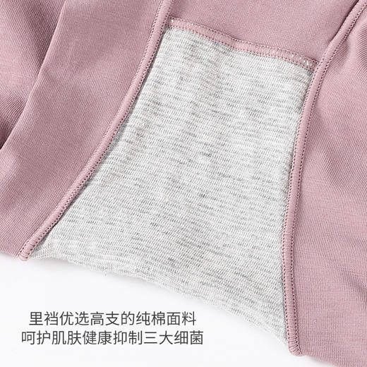 60支精梳棉女士高腰内裤 无痕纯棉裆部 抗菌收腹提臀三角裤头女大码底裤 商品图4