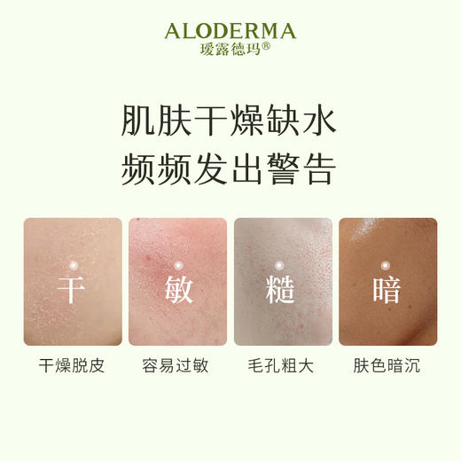 【买就送控油体乳300g】芦荟植萃恒润保湿礼盒(洁面+水+乳）[买就送凝胶100g] 商品图2