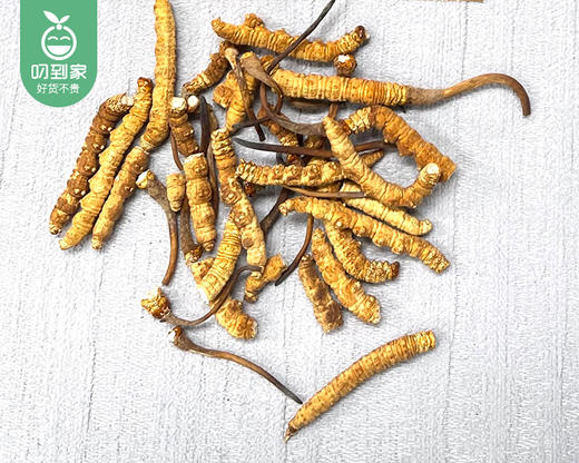 青海果洛冬虫夏草（中大条断草）/1包（1g±0.05g）生产日期：25年11月补单专用 商品图1