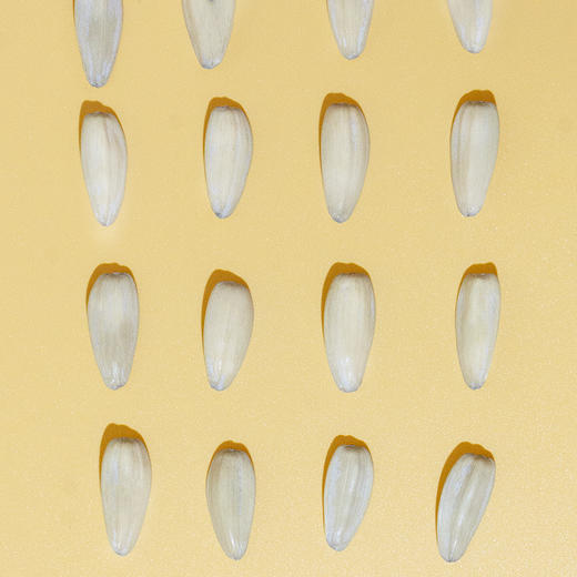 【新疆军垦】【天山皇后】五香瓜子 260g*3袋 商品图2