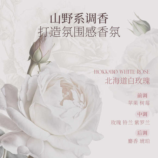 黛觅希信封礼盒（白玫瑰香洗发水+白玫瑰香护发素）+袋 商品图1