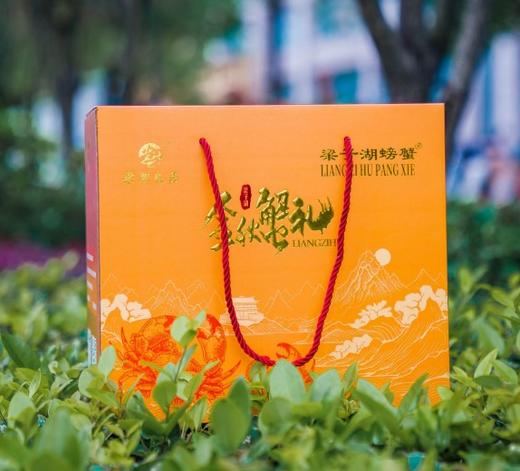 【活蟹】湖北梁子湖梁湖良品  大闸蟹  公蟹3.4-3.6两/只  母蟹2.4-2.6两/只   4对8只 商品图4