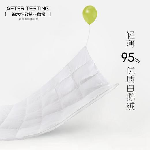 【高端羽绒被】95白鹅绒冬被 五*酒店被子被芯 冬季保暖加厚双人鹅绒被 商品图3