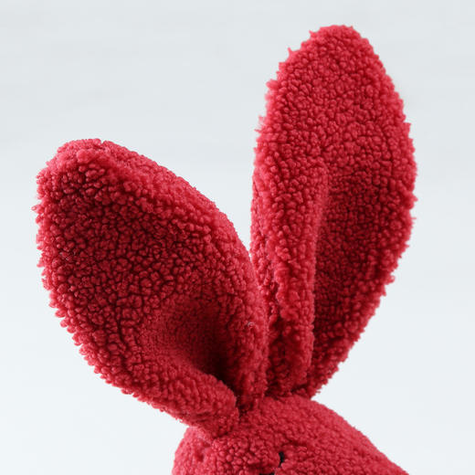 男女童泰迪绒中型公仔秋季新款安奈儿童装实体店同款AM438847【单拍不发 非活动拍下无效】 商品图2