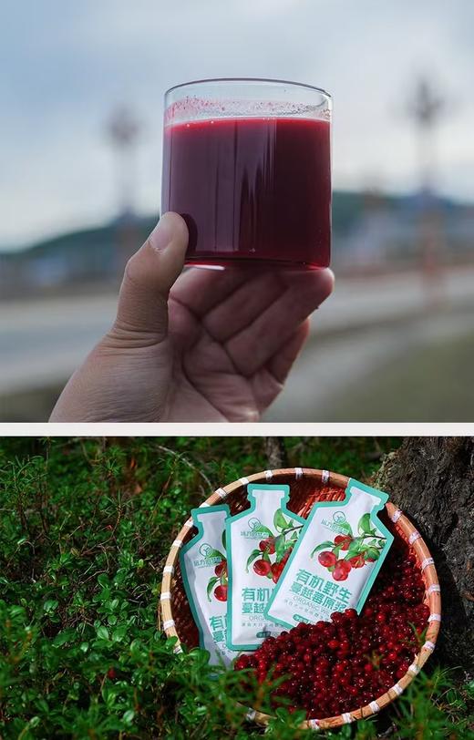 （50ml*10袋）远方的梦想有机野生蔓越莓原浆 商品图7