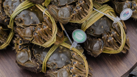 【活蟹】湖北梁子湖梁湖良品  大闸蟹  公蟹3.4-3.6两/只  母蟹2.4-2.6两/只   4对8只 商品图3