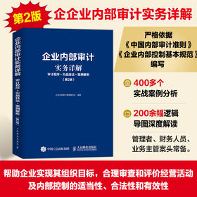 企业内部审计实务详解 审计程序 实战技法 案例解析 第2版 2024年新版内部审计书籍 依据中国内部审计准则基本规范编写